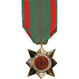 Vietnam Civil Action 1st Class