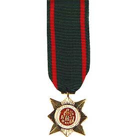 Vietnam Civil Actions 2nd Class Medal - (MINI)