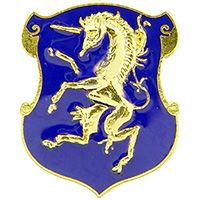 6th Calvary Insignia Pin