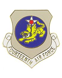 USAF 14th Air Force Shield Pin