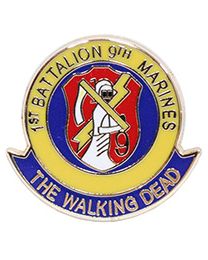USMC 1st Battalion 9th Marines Division Pin