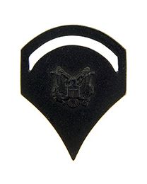 Army Special-5 Subdued Rank Pin