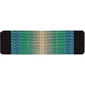 Antarctica Service Ribbon