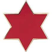6th Infantry Division Insignia Pin