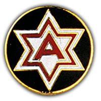6th Army Insignia Pin
