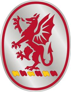 13th Field Artillery Regiment Pin