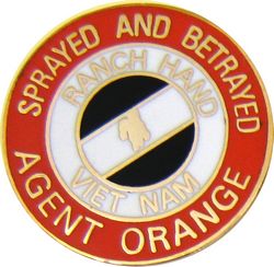 Vietnam (Sprayed and Betrayed Agent Orange) Pin