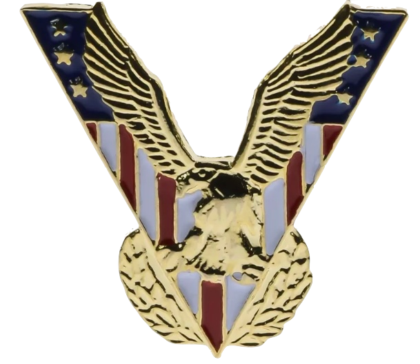 USA Flag Bald Eagle Veteran Victory Pin