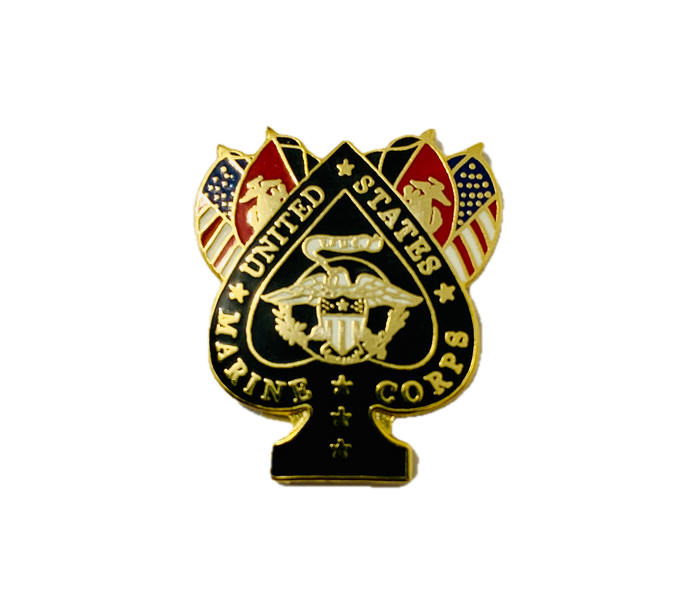 USMC Spade and Flags Eagle In Circle Pin