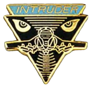 USN/USMC APL, A-6 Intruder Pin