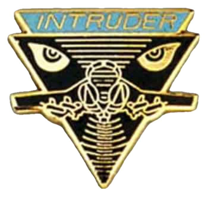 USN/USMC APL, A-6 Intruder Pin