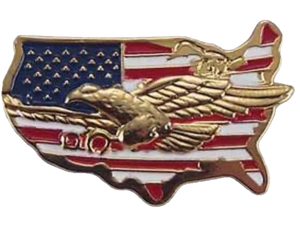 USA Map Gold Eagle Pin