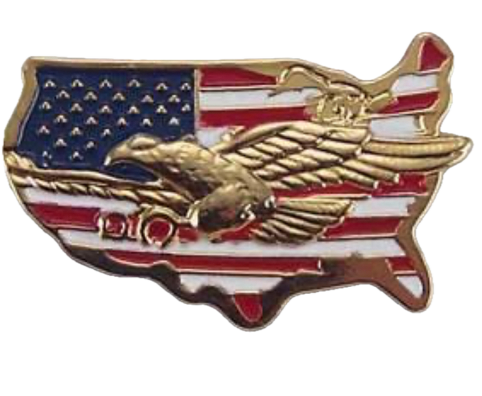 USA Map Gold Eagle Pin