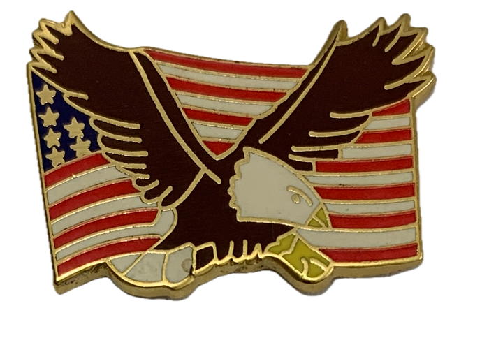 Vintage USA Flag Brown/Gold Eagle Pin