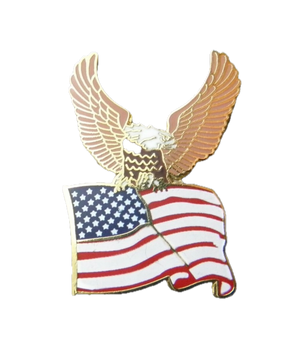 USA Flag With Eagle Pin