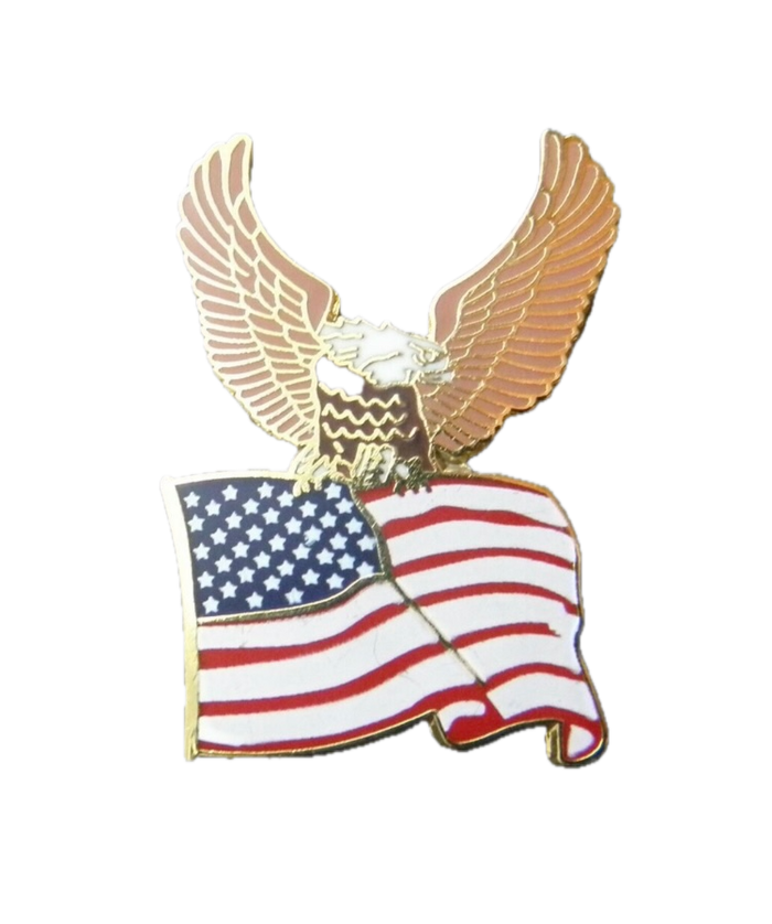 USA Flag With Eagle Pin