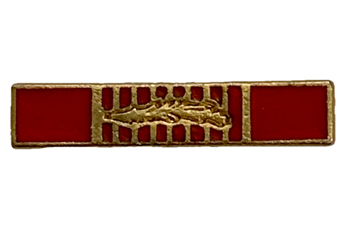 Vietnam Cross Of Gallantry With Palm (MINI) Ribbon Pin