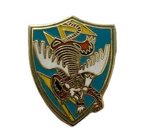 WWII USAF 23rd Flying Tigers Pin