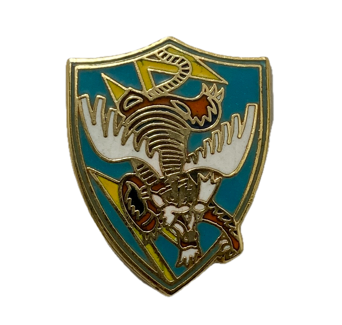 WWII USAF 23rd Flying Tigers Pin