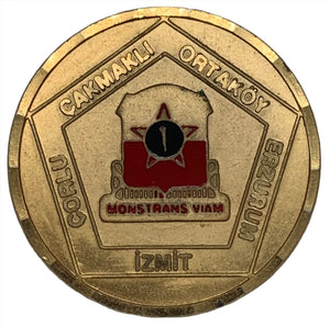 European 528th USAAC Challenge Coin