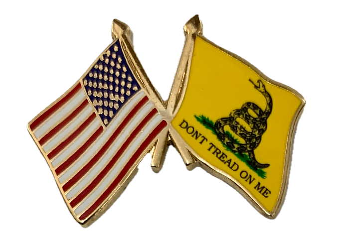 USA/Don't Tread On Me Flag Pin