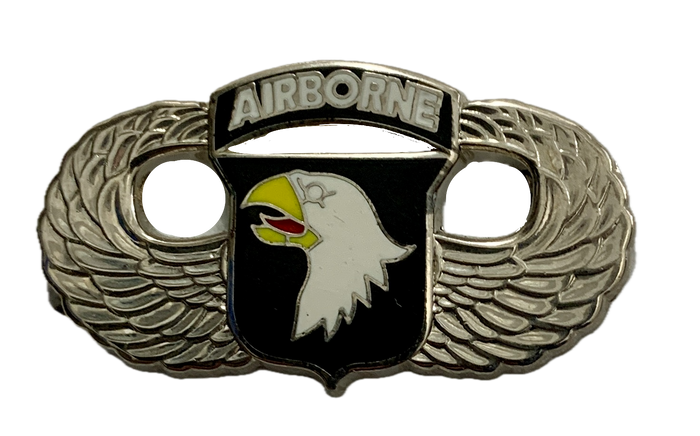 Army 101st Airborne Division Pin