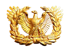 Army Warrant Officer Candidate Rank (LEFT) Pin