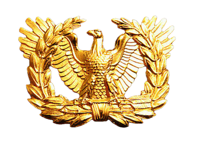 Army Warrant Officer Candidate Rank (LEFT) Pin