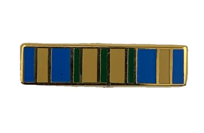 Outstanding Volunteer Service (MINI) Ribbon Pin