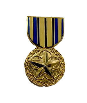 Outstanding Volunteer Medal Service Ribbon Pin