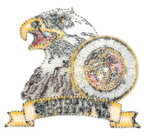 USMC Protectors of Freedom Patch