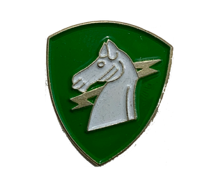 Army 1st Special Operations Command Pin