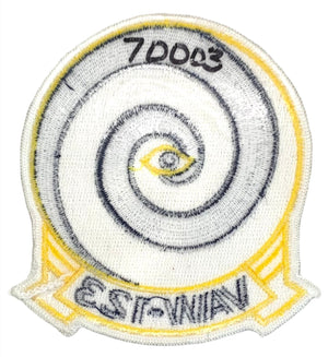 U.S. Navy VAW-123 Squadron Patch