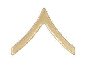 Army E-2 Private Gold Rank Pin