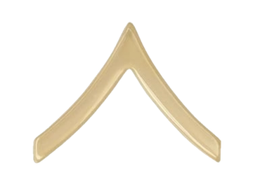 Army E-2 Private Gold Rank Pin