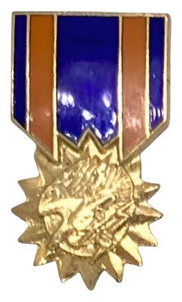 Vintage Air Medal Pin