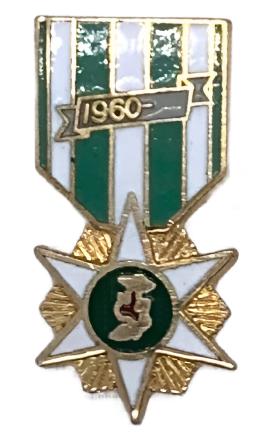 Vietnam War Campaign Medal Pin