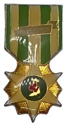 Vietnam War Campaign Medal Pin