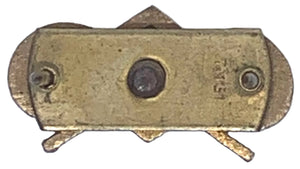 U.S. Army Chemical Corps Pin