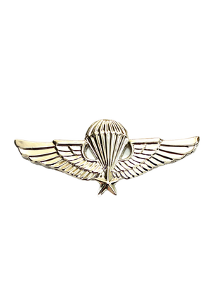 Vietnam Para/Jump Basic Wing Pin