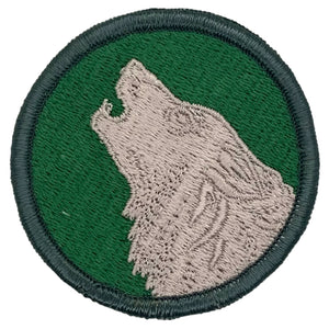U.S. Army 104th Training Division Patch