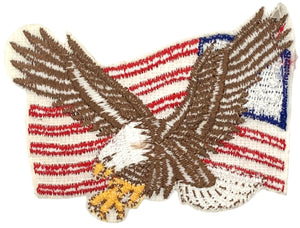 American Flag & Eagle Patch