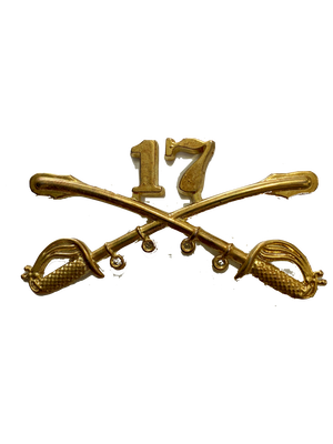 U.S. Army 17th Cavalry Division Pin