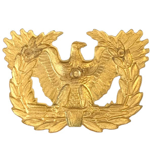 U.S. Army Warrant Officer Cap Device
