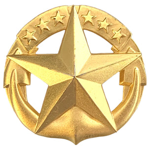 U.S. Navy Command at Sea Insignia Pin
