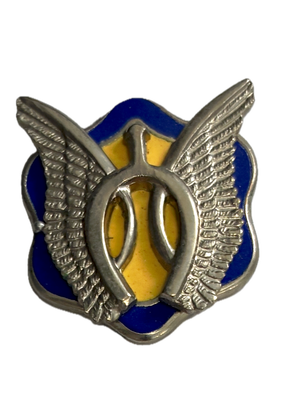 17th Calvary Regiment Unit Crest Pin