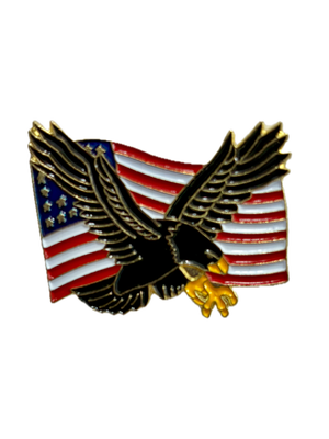 American Flag Flying Eagle Pin