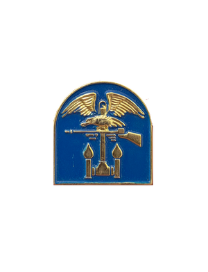 3rd Amphibious Special Engineer Brigade Pin