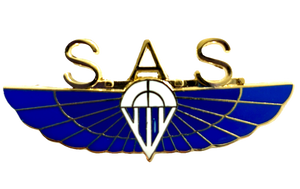 Special Air Service (British) Pin