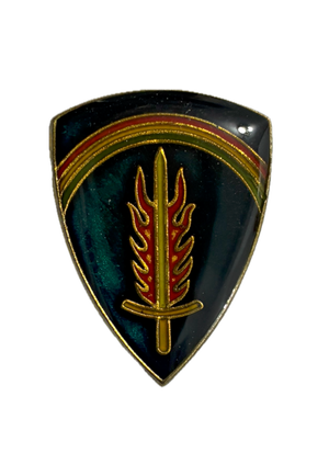 Vintage U.S. Army Europe Pin